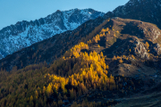 211026_ahrntal_094015