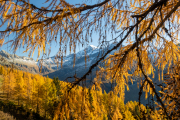 211026_ahrntal_103909
