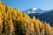 211027_ahrntal_152011