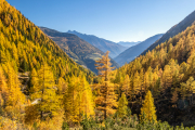 211028_ahrntal_140558