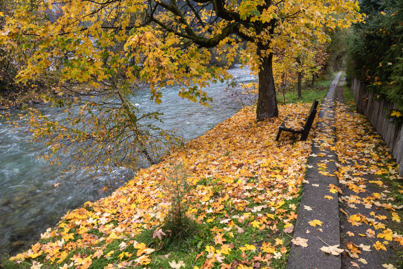 221009_ahrntal_105937