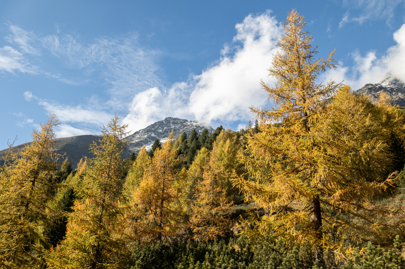 221010_ahrntal_133607