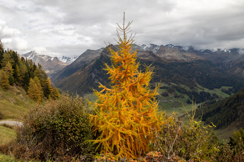 221010_ahrntal_151241
