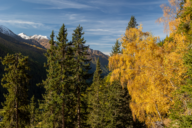 221011_ahrntal_100758