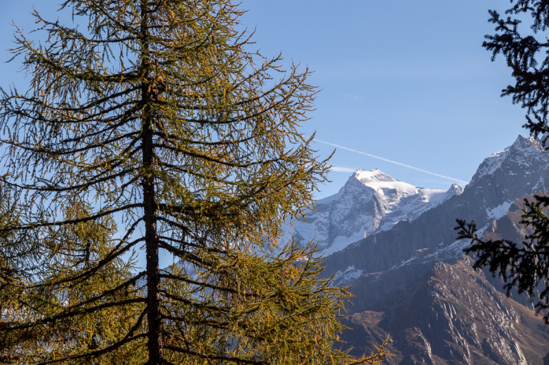 221011_ahrntal_102444