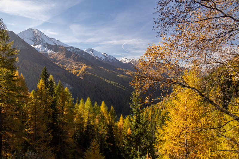221011_ahrntal_103441