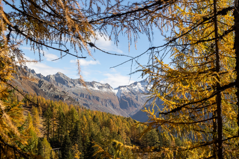 221011_ahrntal_103844