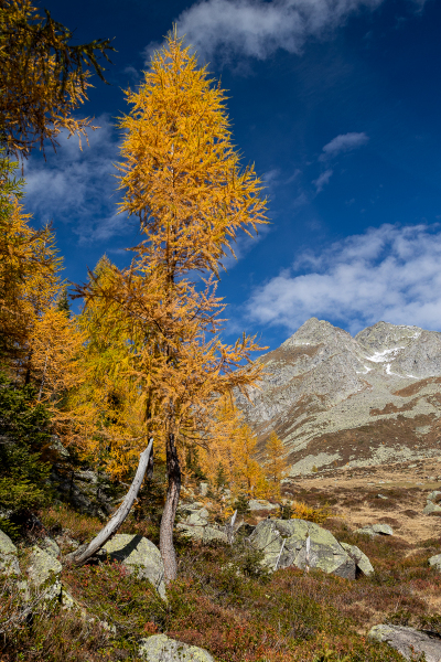 221011_ahrntal_104402