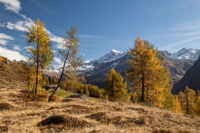221011_ahrntal_104537