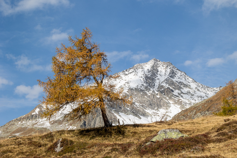 221011_ahrntal_111744