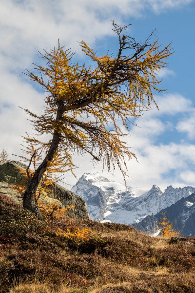 221011_ahrntal_112328