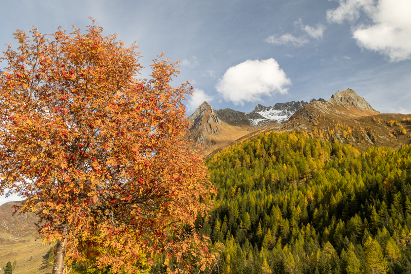 221011_ahrntal_155845
