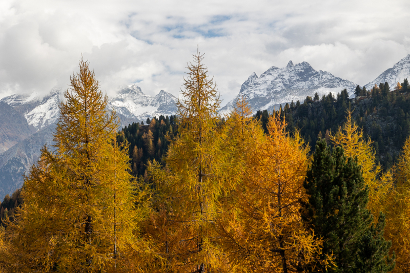 221012_ahrntal_130007