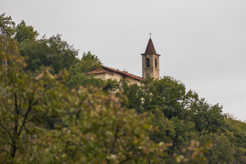 211009_comer-see_dav_120715