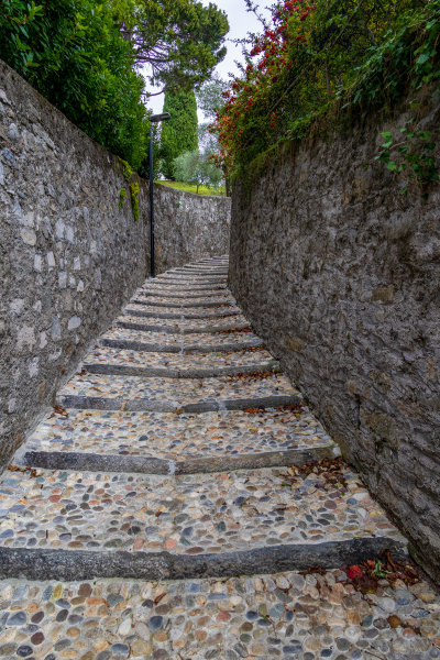 211009_comer-see_dav_145259