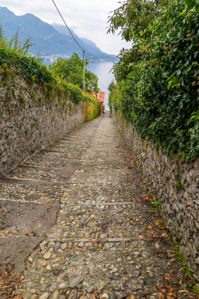 211009_comer-see_dav_145720