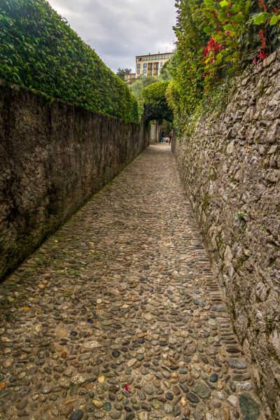 211009_comer-see_dav_145941