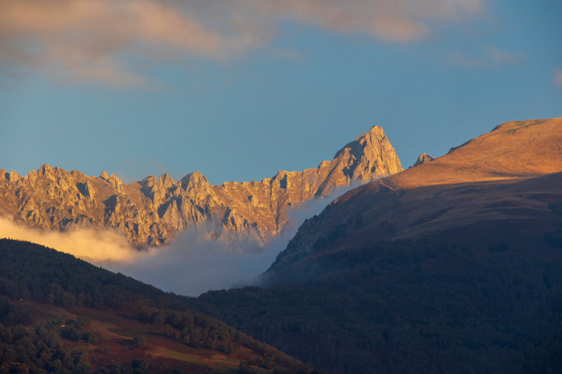 211010_comer-see_dav_081449