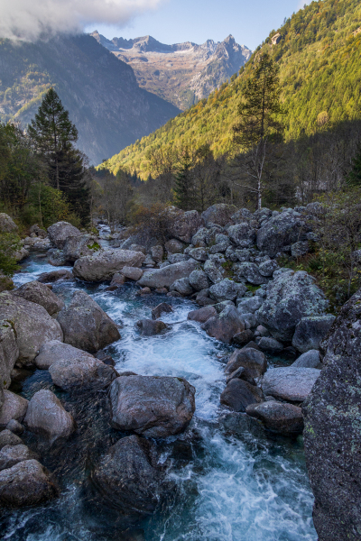 211010_comer-see_dav_104942