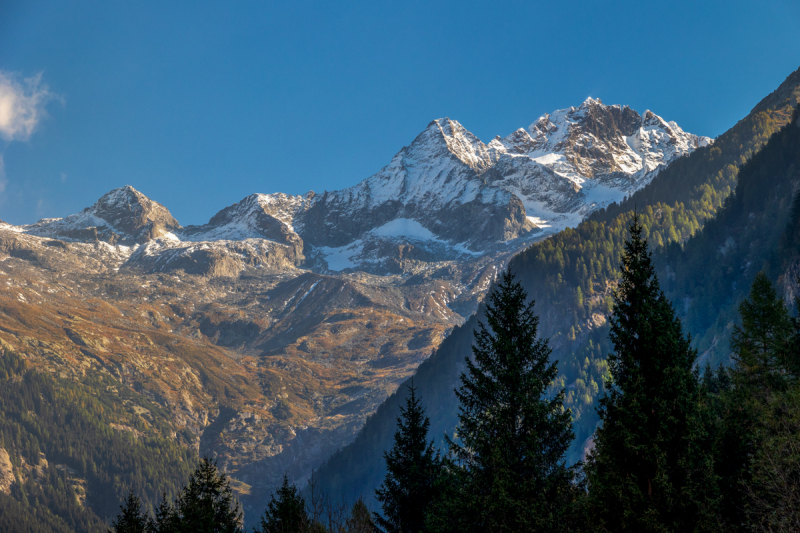 211010_comer-see_dav_105101