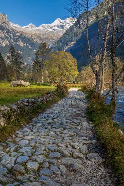 211010_comer-see_dav_142838