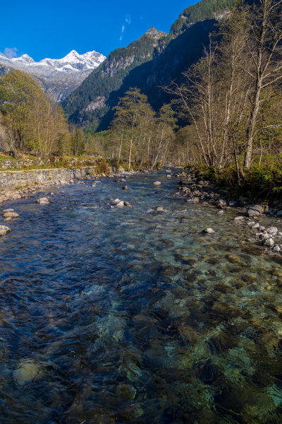 211010_comer-see_dav_152433