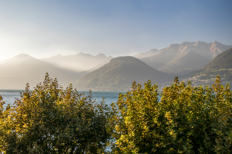 211010_comer-see_dav_173217