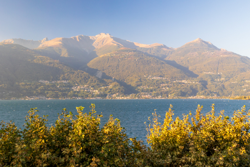 211010_comer-see_dav_173226
