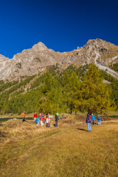 211011_comer-see_dav_101712
