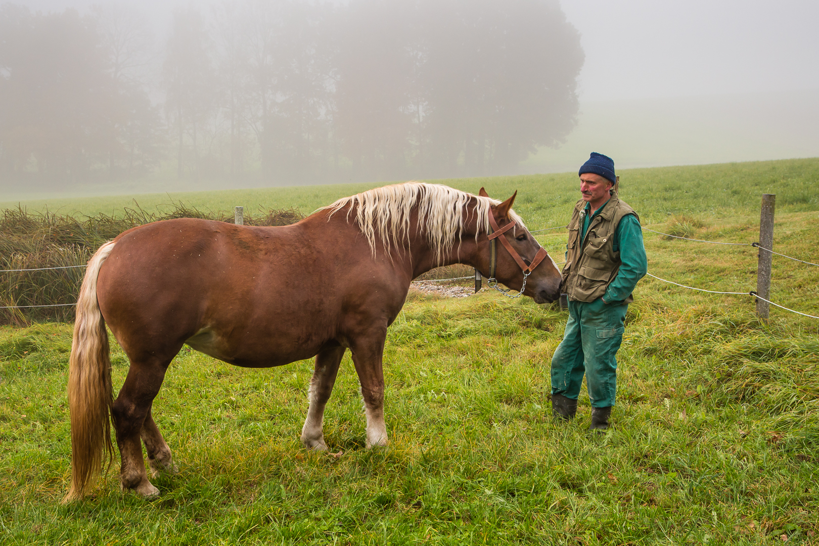 Bauer und Pferd