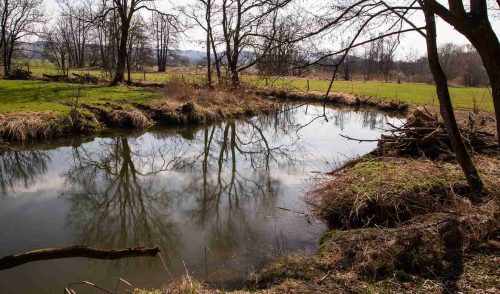Artikelbild zu Artikel Malerische Wanderung um Dorfen
