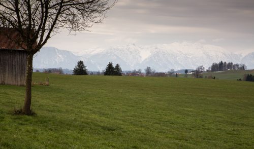 Artikelbild zu Artikel Hugl-Was?