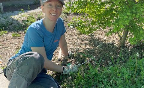 Artikelbild zu Artikel Gesucht und Gefunden!