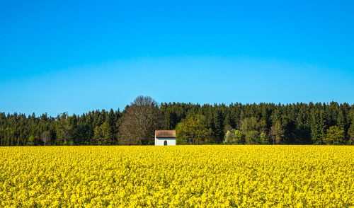 Artikelbild zu Artikel Wasserwege im Tölzer Land